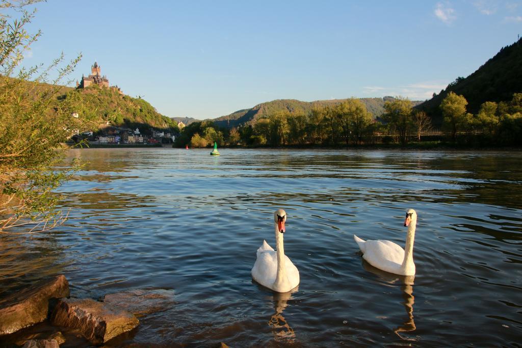 Hotel Klasen Cochem Exterior foto